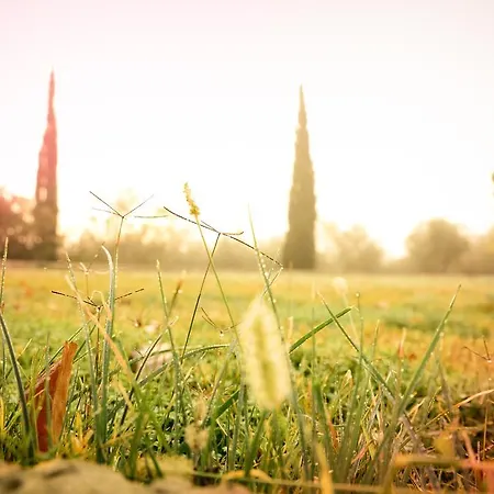 Farm stay Son Miranda - La Organic Sencelles