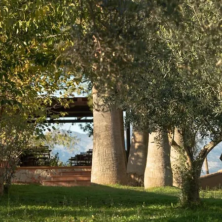 Son Miranda - La Organic Farm stay